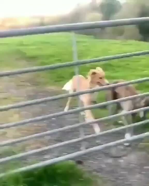 ����� � ��������� �������. ����� �������� ����� ������� ����