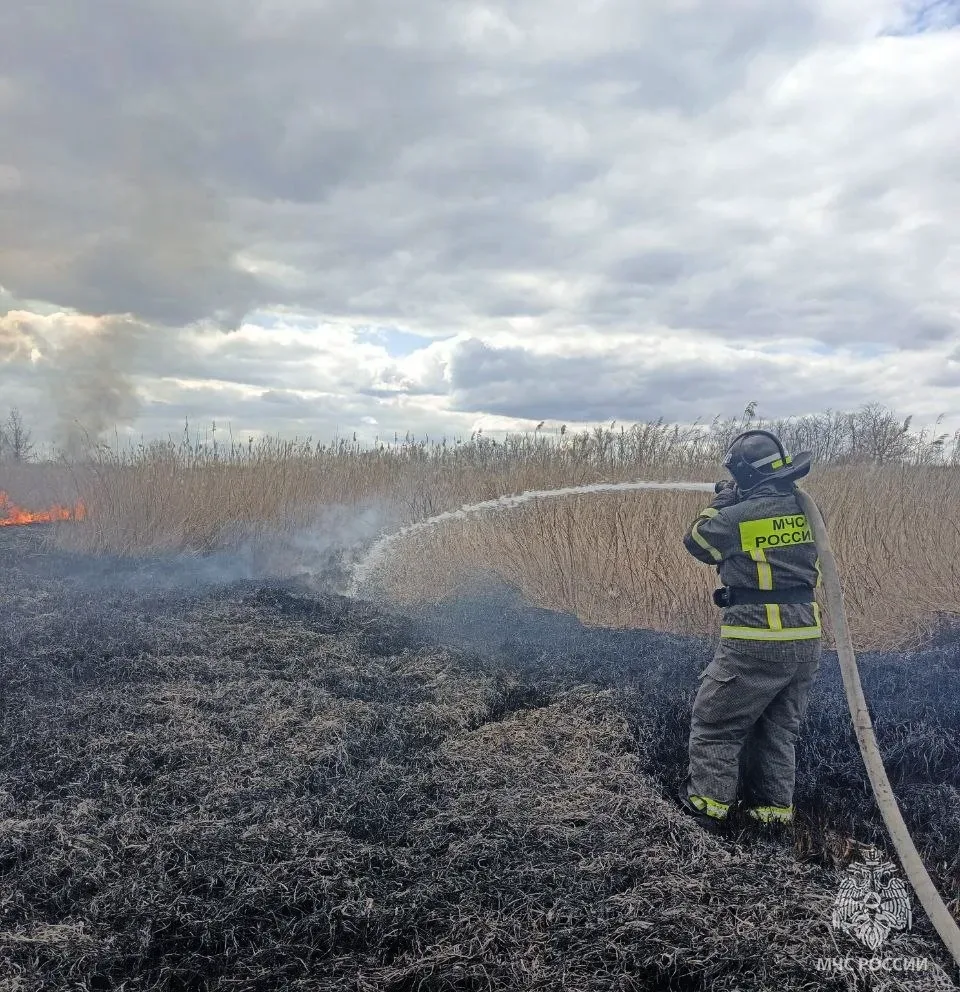 Оперативная информация за сутки
