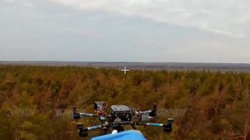 ������ ������ ���������� ���� 29 ����� ����������� ����� "������" �� ����������� ������� ������������� ���������� �� ����������� �����������