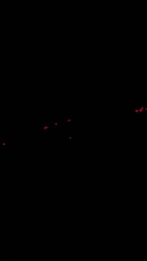 ������� �������: �������������� ������