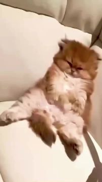 Вот и вечер. Заканчиваем с делами и ложимся спать