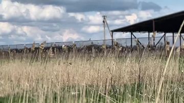 Доброе утро!. Среда, 15 апреля 2026 г. Начинаем день с шелеста камыша и весенней свежести! Прогноз погоды на сегодня: