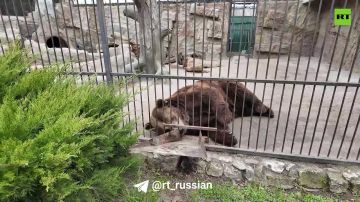 ������� � ���������� ����������� ������� ��������� ����� � ���������