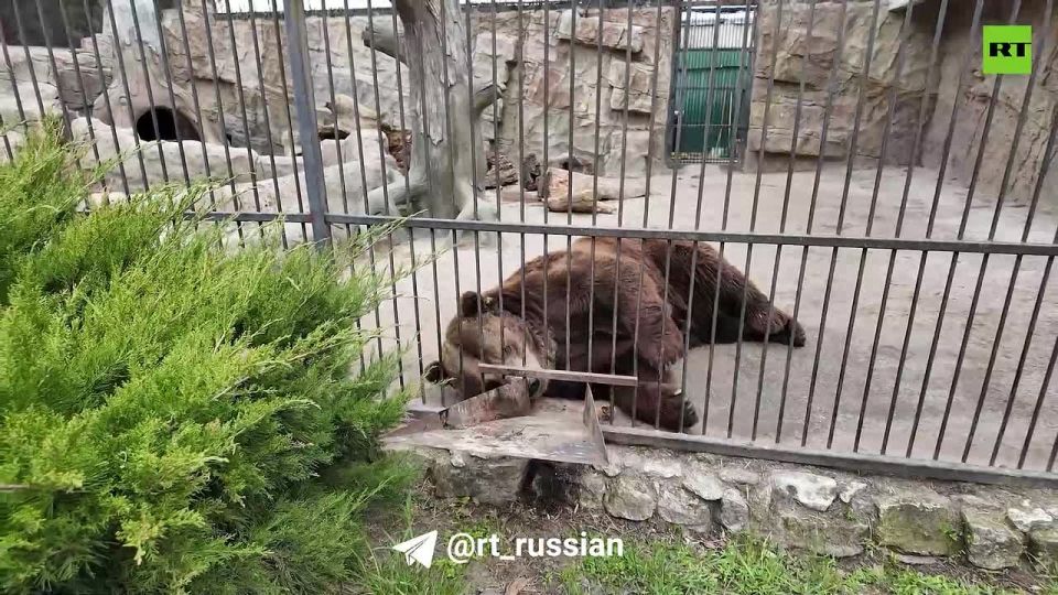 ������� � ���������� ����������� ������� ��������� ����� � ���������