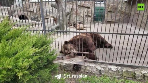 ������� � ���������� ����������� ������� ��������� ����� � ���������