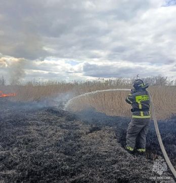 ����������� ���������� �� ����������� ������� �� 14 ������