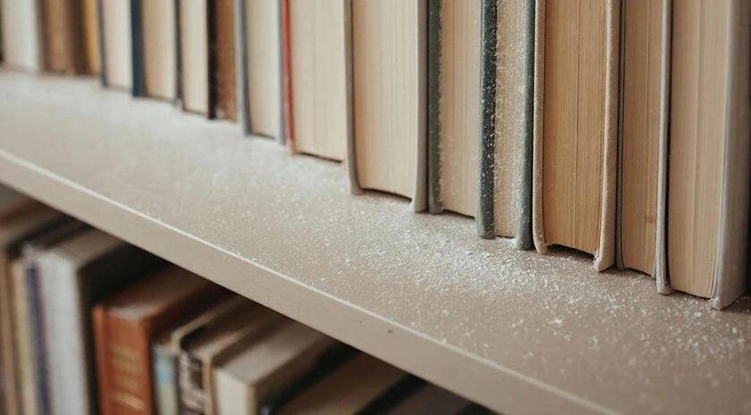 Борец с чистотой. Эксперт рассказал, откуда в квартире берется пыль