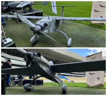 "������" ("�������"). ���������� ������� ���� � 50 �� ����������