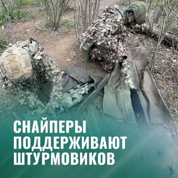 Минобороны России: Снайперские пары прикрыли штурмовиков в Запорожской области