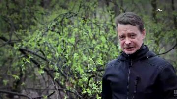 ��������� ���������� �� ������ ������ � ������� ��������� � ��������� ��� ����� | 16 ������