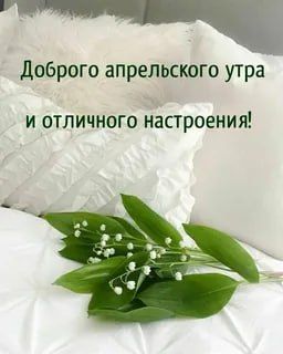 � ������ ����� ������������