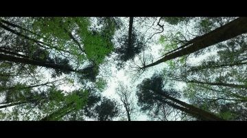 ����������� ������� �������������� � ���������� ������������� ������� �������������� ������������, ������������� �� �������� ����� ���������� ��������� ���������� � �������������� �������