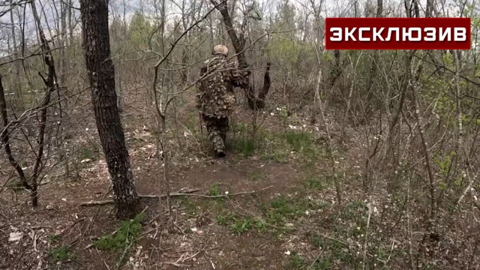 �������� �������� ���������� ����������� � ���������� ������ ��������