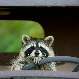 ������ ����, ������! �������� ��� ��� � ��������� ����������!