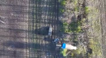 � ������ ������� ��������������� ������� ������ �������� ��� ����