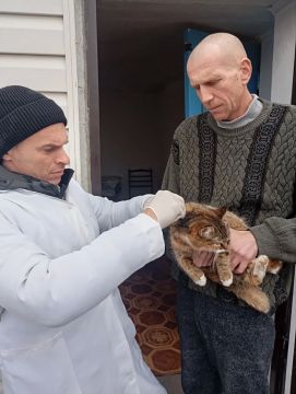 ���������� ���������� �������� �������������� ���������