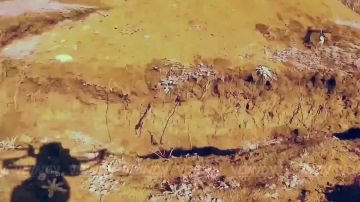 ��������� ��������� ���, ������������ ����������� 38 ����������� ������� 35 ����� ����������� ����� "������" � ����������� �������