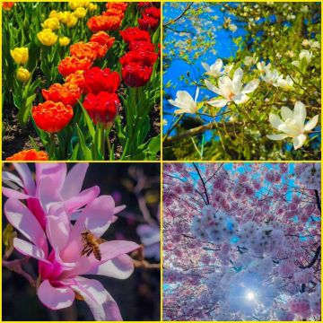 ��������. ����������� ������������ ���