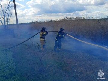 Оперативная обстановка за 15 апреля на территории Запорожской области