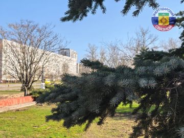 Доброе утро! Вы только посмотри, какое прекрасное утро апреля за окном!