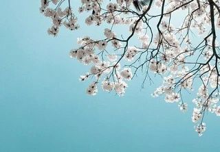 ������ ����. � �� �����, ��� �������