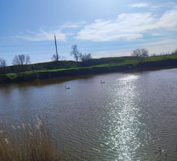 ������, ������ ����!. �������� ����� ������� ����)) ����� ������� ����� �������! � ����� ������� ��� ����������)) ���������� �������� ������� �� ����! �������������� ��: Max