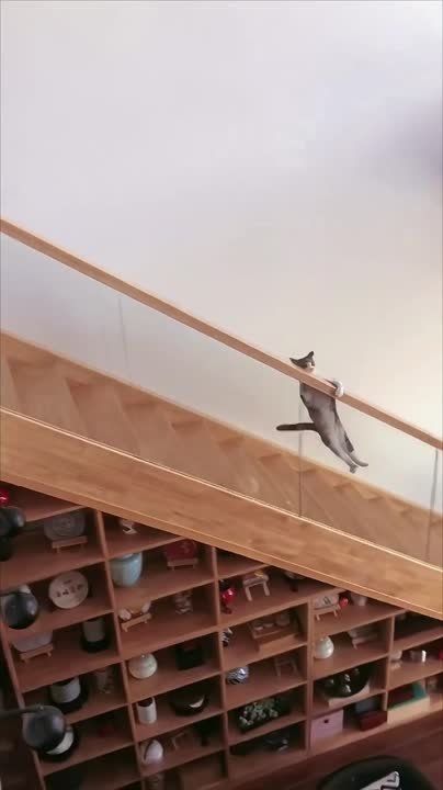 ���, �������. ����������� � ������ �� ������