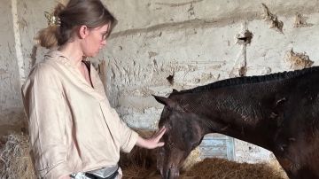 ������, ������� ���� �� ��������� � ������������