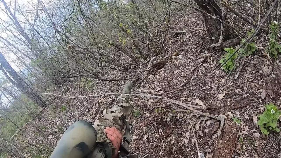 ��������� �������: ������� � ������ ��������� ����������� ����� "������", ��� ��������� ������ �� ����������� �����������