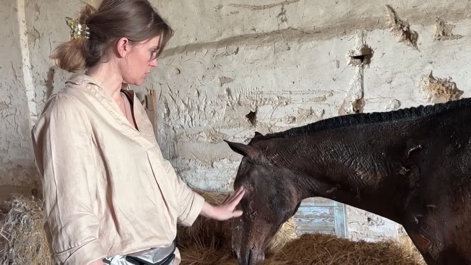 � ��������� ���������, ������� ������ ��������� ����� ����� �� ������ ����� � ��������
