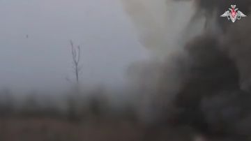 ������� ���� �������� 61-� ����������� ������� ������� ������ ����������� ������ ������� ������� ������������� ���