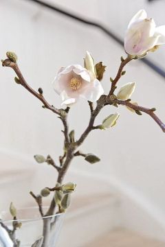 ����������� ��� ����!