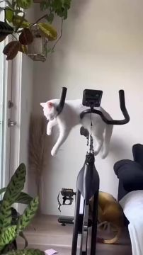 ��� � ��������. ������� ����� ������ �� �������