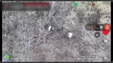 ������������ ����� ������ �������� ���� ������ �������