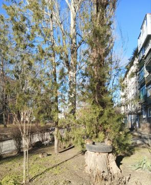 � ������ �����, � ����������� ����!