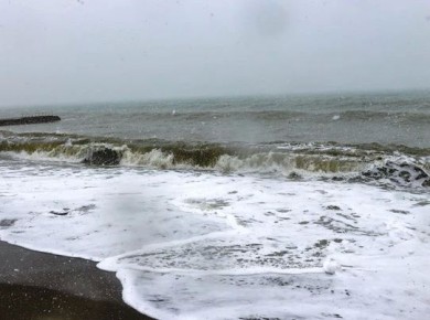 ����� ����������� ��������� �� �������� ����