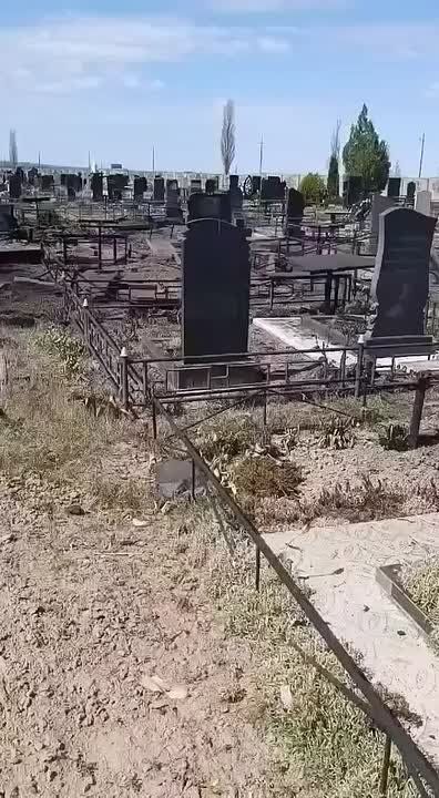 ������� ��������: ��������� ����� ���������������� ���� �� �������� ������ ������������