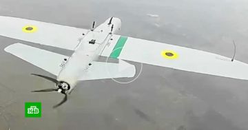 ����� �������� ���������� ������ ���������� ��� � ���������