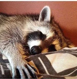 ������ ����, ������� ����������! ������ ����, ���������!