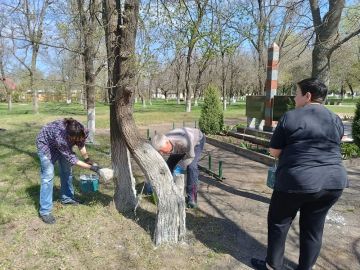 ����� ���� � ������ �����