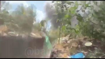 ������ �������: #��������. ������ ������ ������ �����������