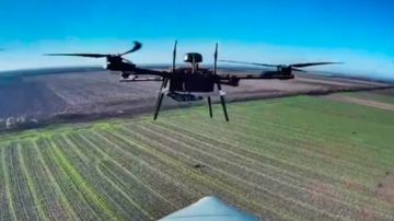 �� �� ���������� ���� �������, FlyEye � �����-��� � ����������� �������