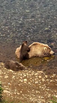 ������ ���������� ����, ����������� �������!