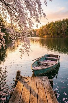 ���� ������ ����!