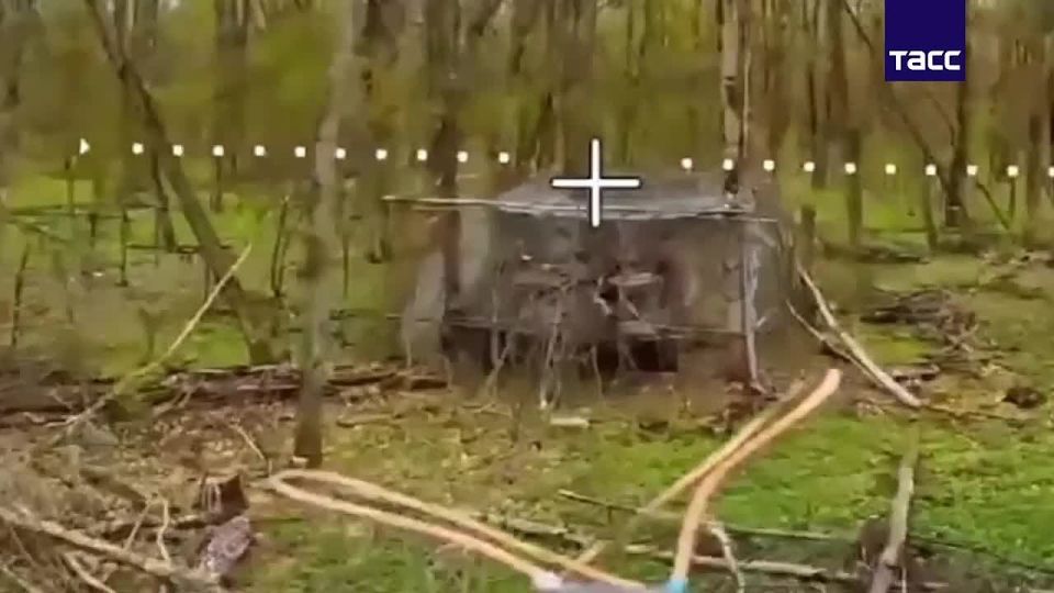 �������� FPV-����� 83 ��� ��������� ���� �-64�� ��� � ������� �������