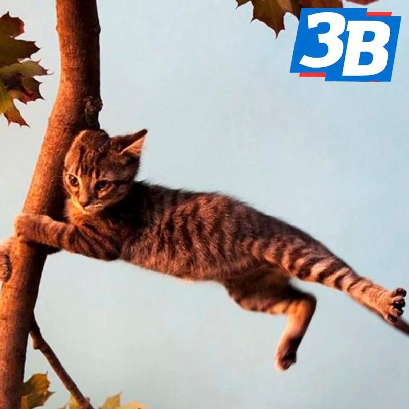 ��������� �������������� ��������� � ����������� �������