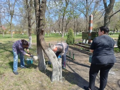 ����� ���� � ������ �����