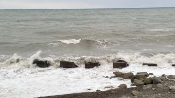 �� �������� ���� � ����������� ������� ����� ��������� ����� �� 20 �/�