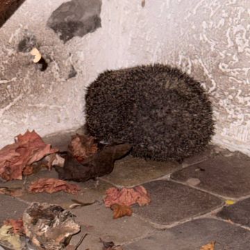 ��������� ����� �� ������ ����� ������ �� ��������� �����