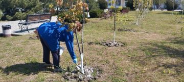 ���������� ���������� �������� �� ���������� ����������